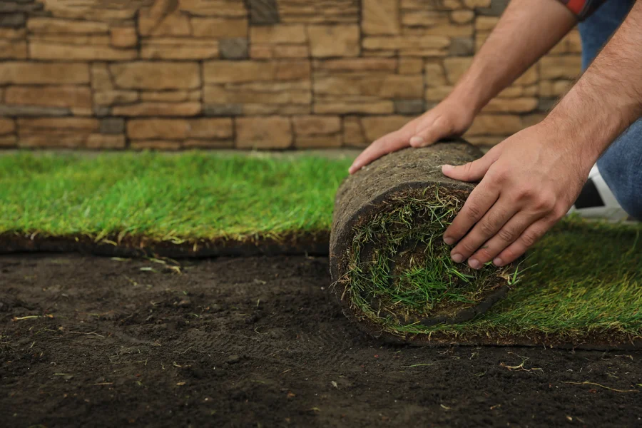 How Sod Installation Can Improve Drainage Around Your Property in Bound Brook, NJ